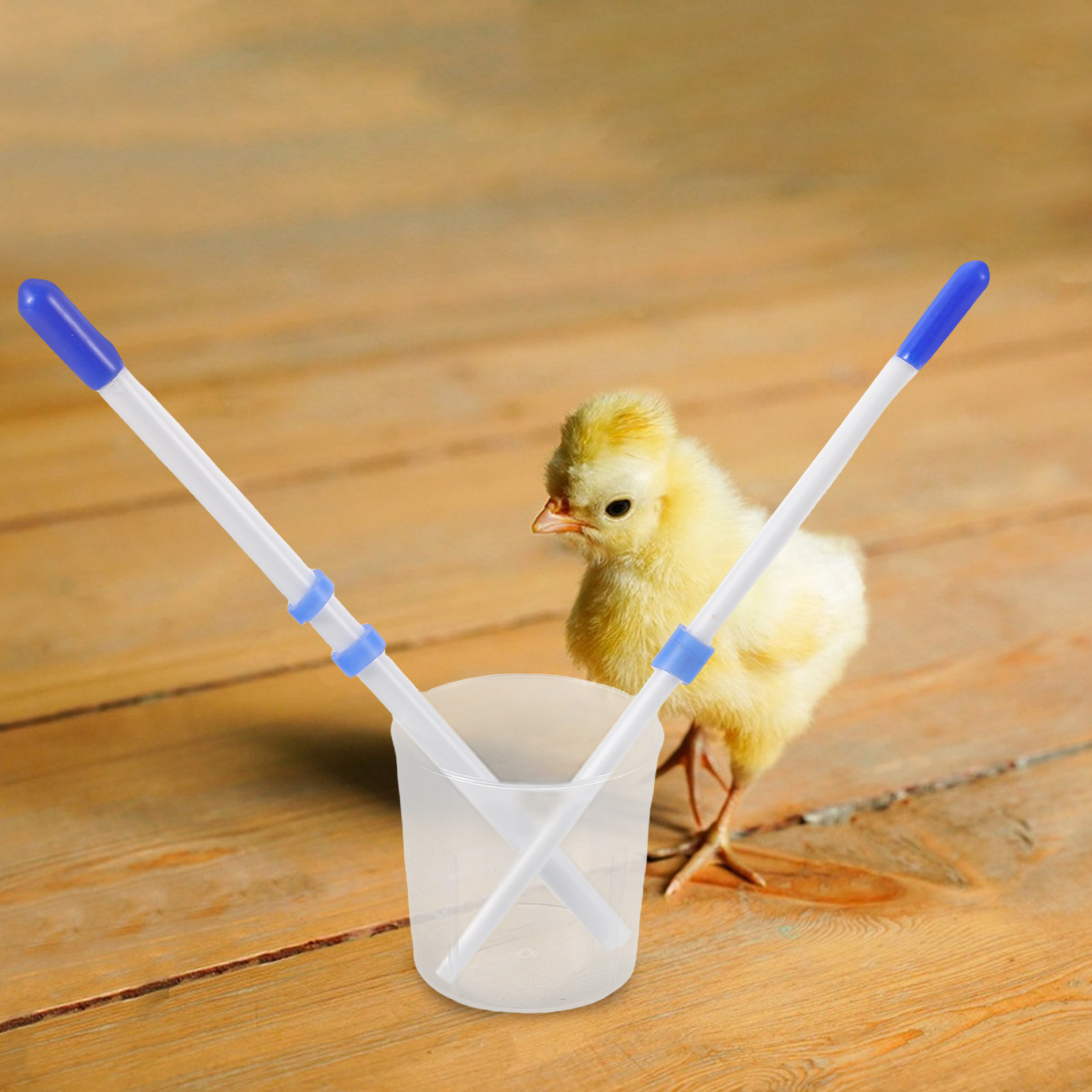 1Set Chick Feeder Injector Pla - đánh giá và giá Baby Food Youtube