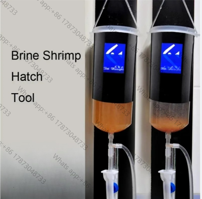 Fairy shrimp egg artemia alive - đánh giá và giá Baby Food Egg