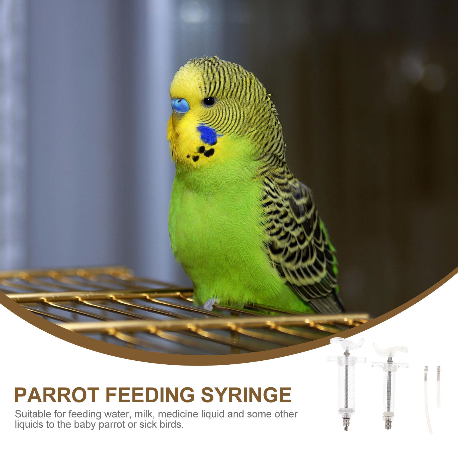 1Set Baby Bird Feeding Budgie  - đánh giá và giá Baby Food Youtube