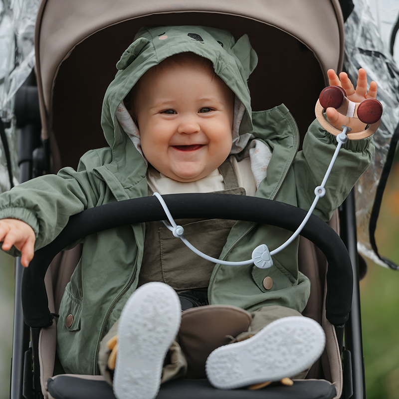 Silicone Toys Straps for Teeth - đánh giá và giá Baby Food Ideas