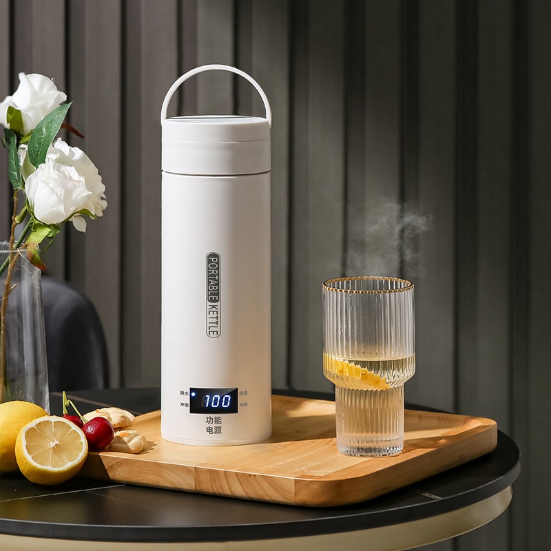 Travel Electric T Kettle Fast  - đánh giá và giá Baby Food Thermos