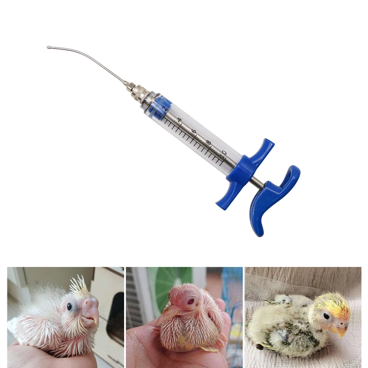 Parrot Feeding Tubes Birds Fee - đánh giá và giá Baby Food Youtube