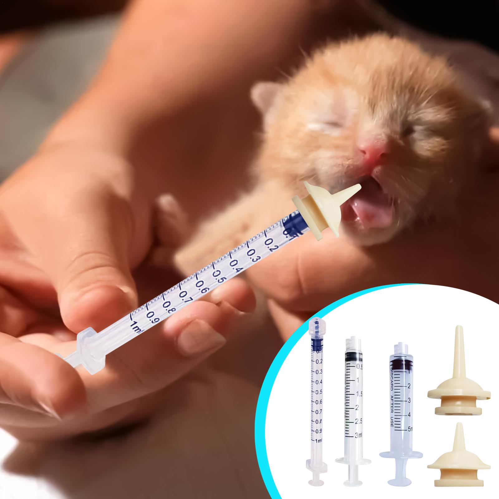 Baby Bird Feeding Syringe Reus - đánh giá và giá Baby Food Youtube