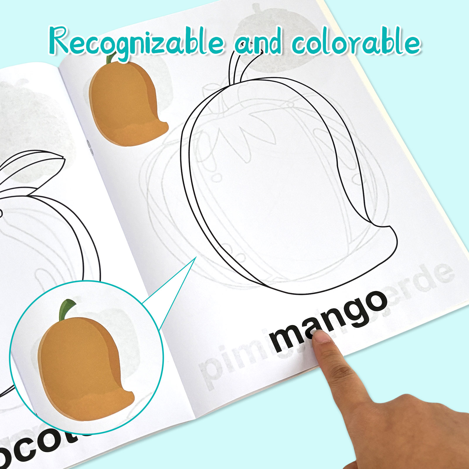 4 Pack Spanish Vocabulary Colo - đánh giá và giá Baby Food Year Old