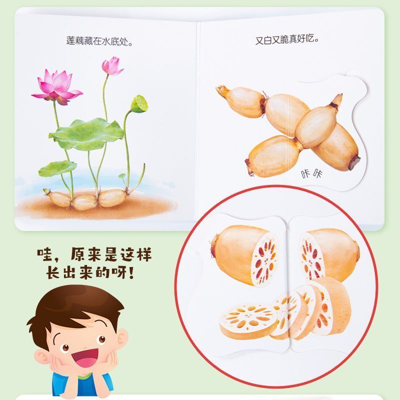 Infant Food Education Flipbook - đánh giá và giá Baby Food Year Old
