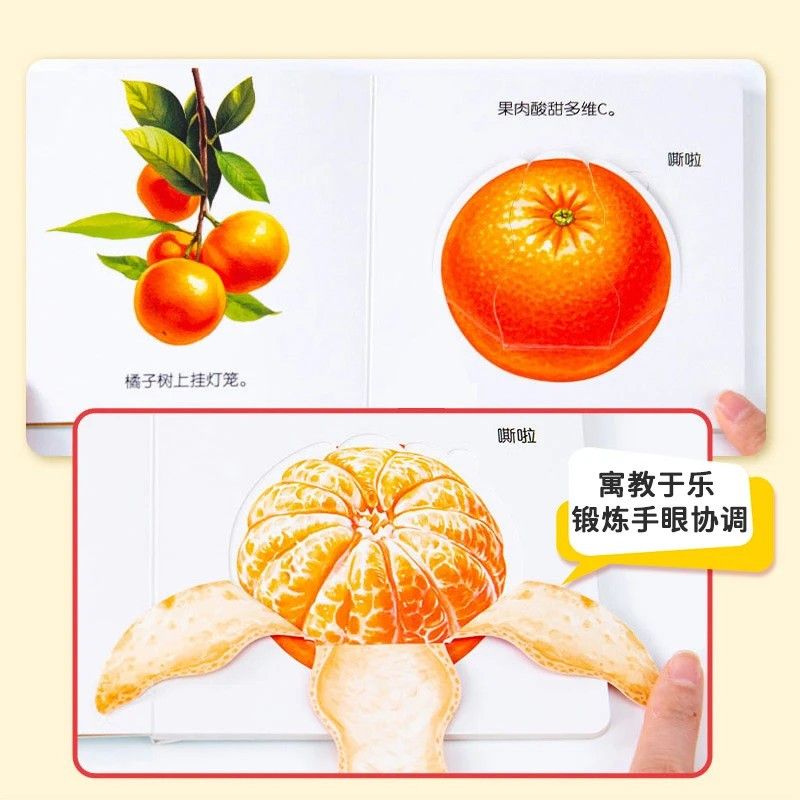 Infant Food Education Flipbook - đánh giá và giá Baby Food Year Old
