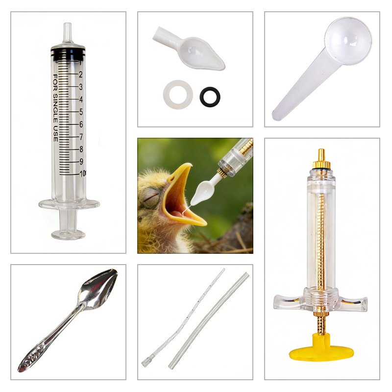 Precise Baby Bird Feeder Profe - đánh giá và giá Baby Food Youtube